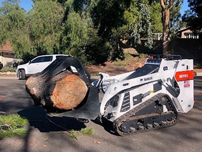 Emergency Tree Removal, Costa Mesa, CA