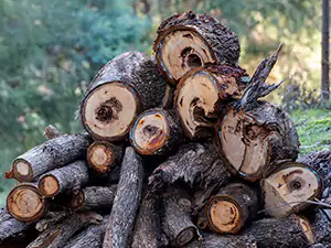 Firewood For Sale, Laguna Niguel, CA