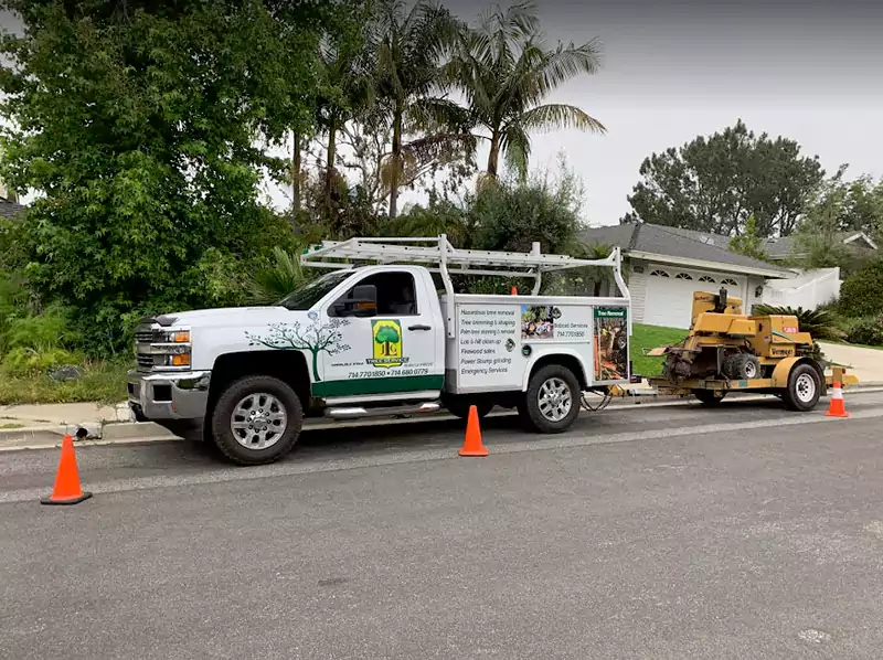 Professional Tree Removal Service Company, Costa Mesa CA
