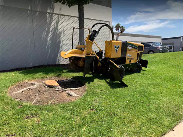 Stump Grinding and Removal, Costa Mesa CA