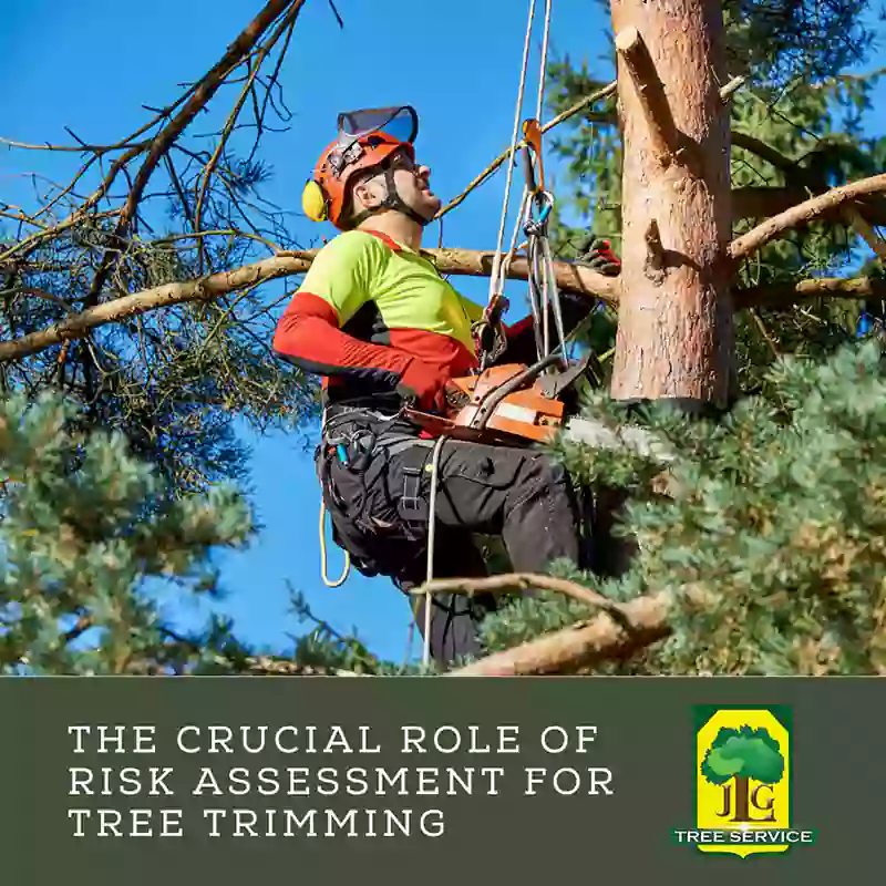 Risk Assessment for Orange County Tree Trimming, Costa Mesa CA