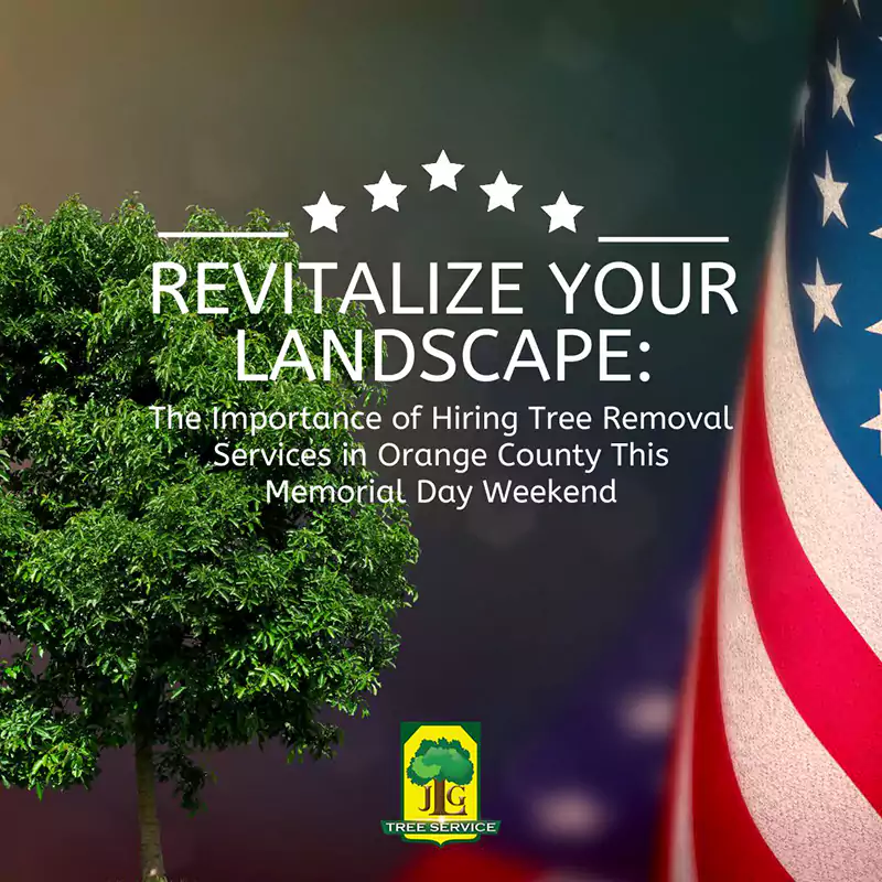 Enhance Your Landscape: Tree Removal Services, Costa Mesa CA