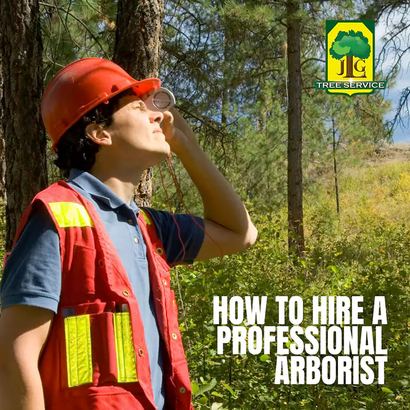 Professional Arborists, Irvine, CA