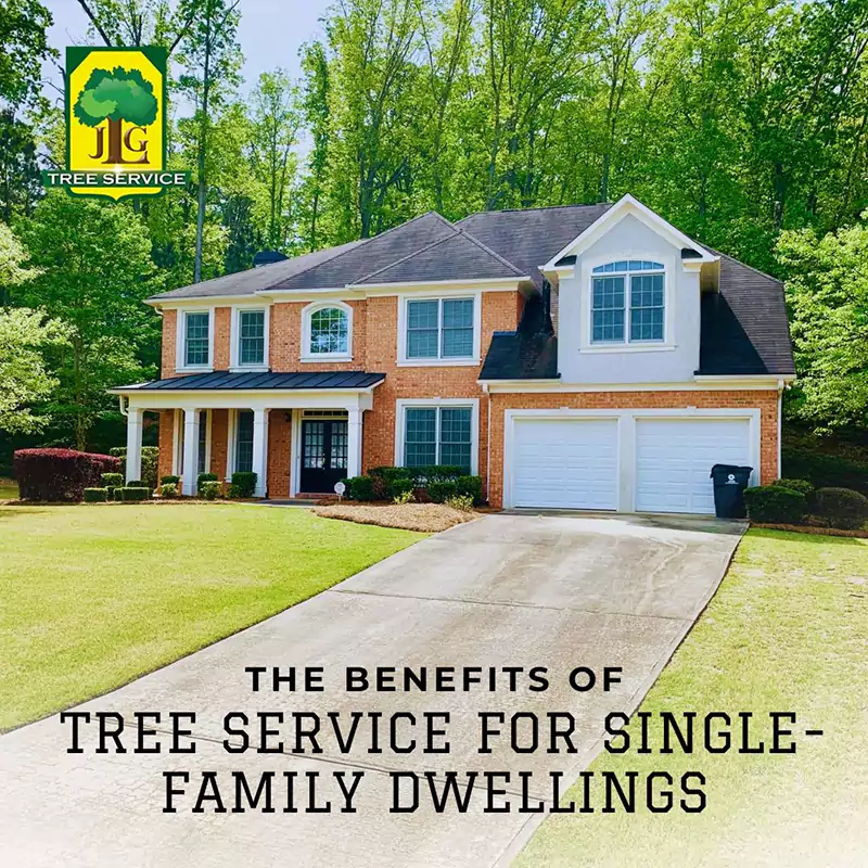 Enhancing Your Single-Family Home with Tree Services, Irvine CA