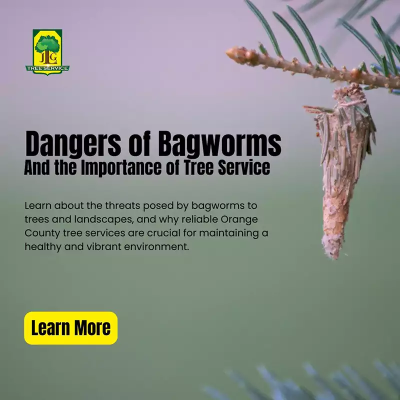 Dangers of Bagworms and the Importance of Tree Services, Costa Mesa CA