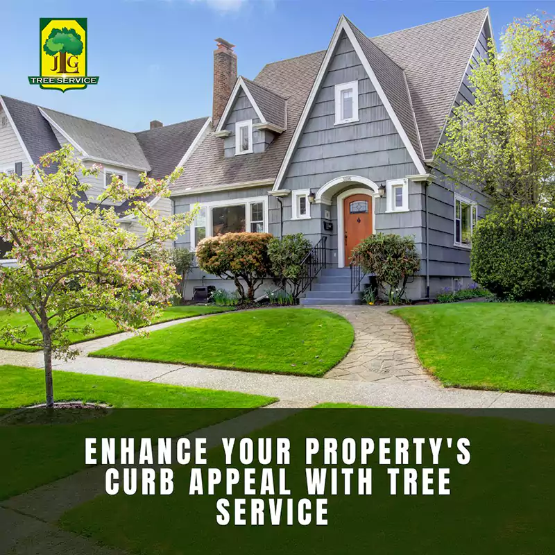 Enhance Your Property’s Curb Appeal with Irvine Tree Services, CA