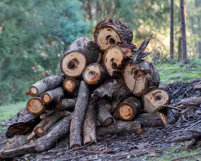 Firewood For Sale in Orange County, CA