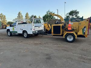 Tree Removal, Irvine, CA