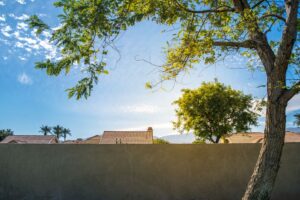 Dead and leafless tree branches over a sunny Southern California suburban backyard wall in Anaheim